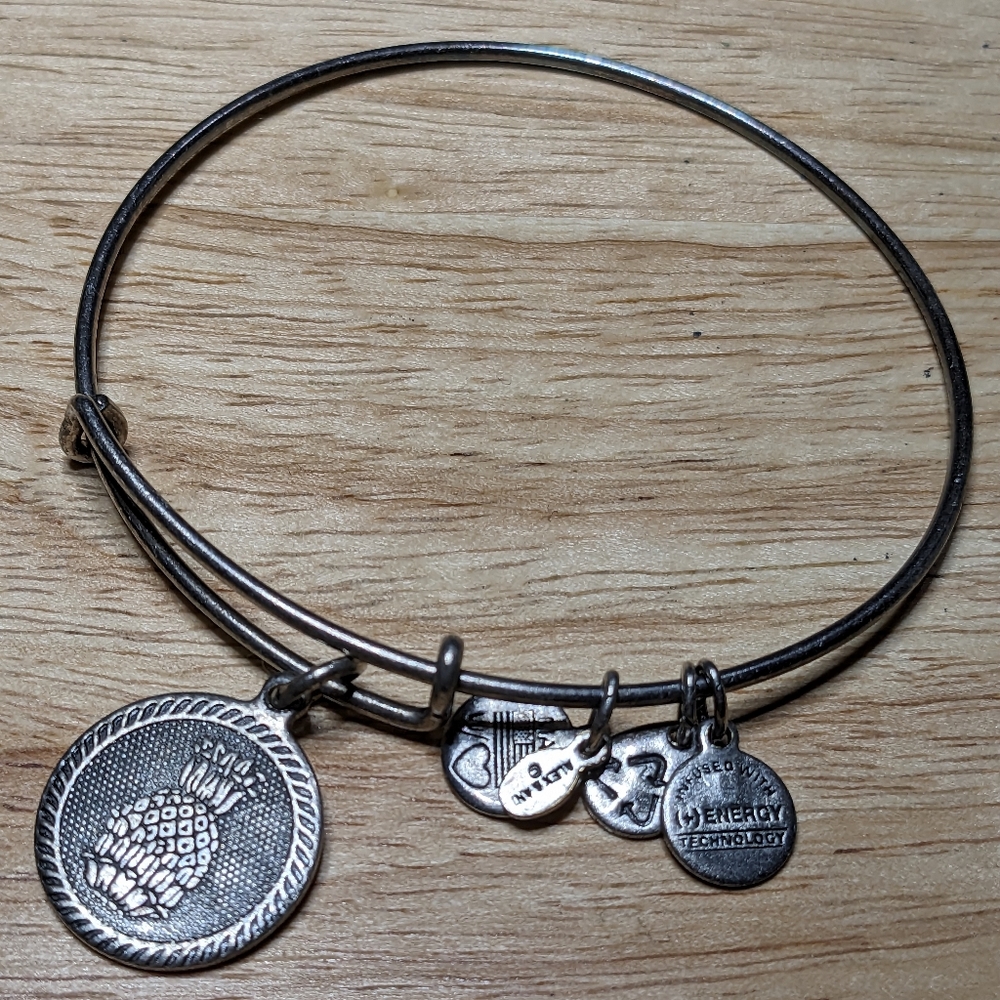 Alex and Ani Silver color bracelet with pineapple charm